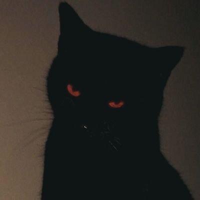 ;
