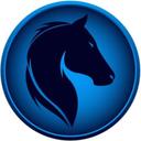 Star-Stallion