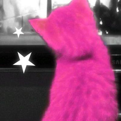 kitty (mo do Bernas💋💕)