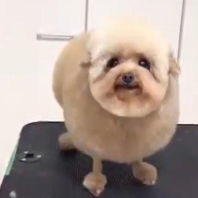 dumbcloud