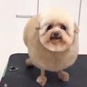 dumbcloud