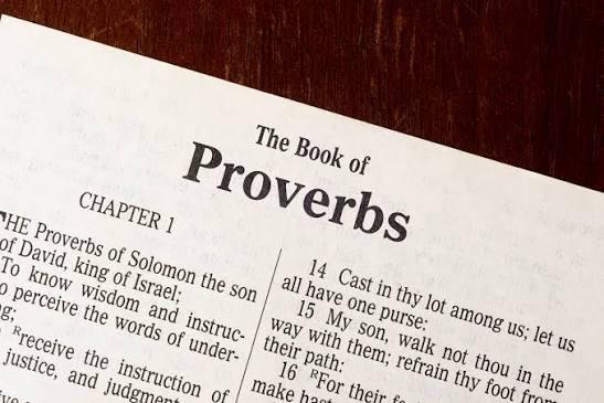 Rooted in the Book of Proverbs